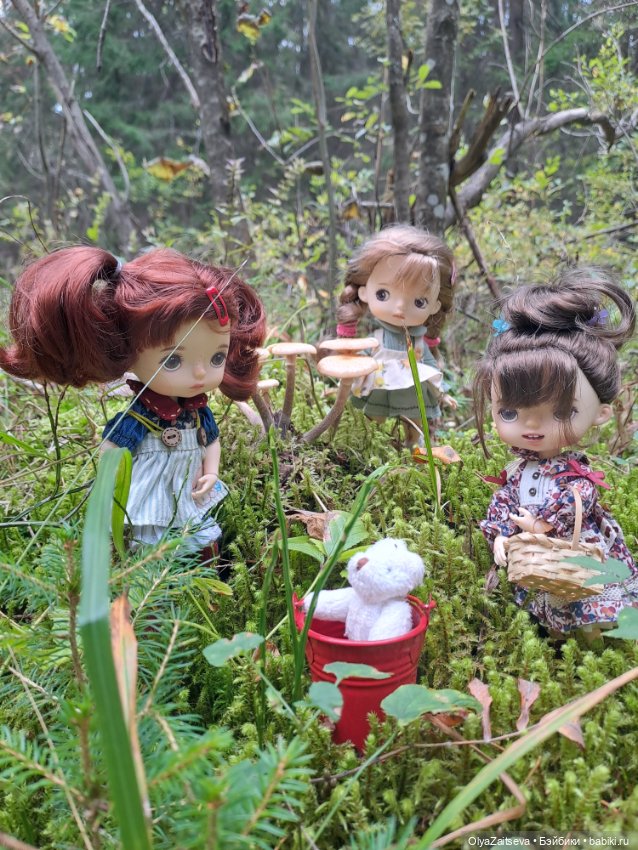 Осенние хлопоты — Разные шарнирные куклы (не БЖД): редкие