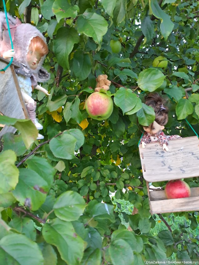 Осенние хлопоты — Разные шарнирные куклы (не БЖД): редкие