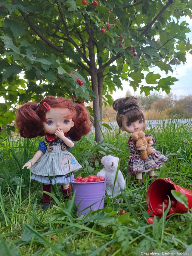 Осенние хлопоты — Разные шарнирные куклы (не БЖД): редкие (фото 2)