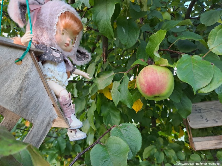 Осенние хлопоты — Разные шарнирные куклы (не БЖД): редкие