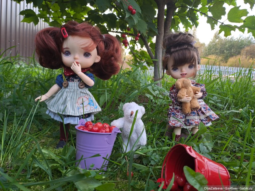 Осенние хлопоты — Разные шарнирные куклы (не БЖД): редкие (фото 3)
