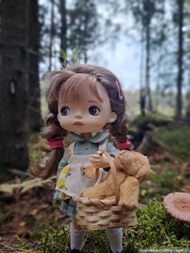 Осенние хлопоты — Разные шарнирные куклы (не БЖД): редкие