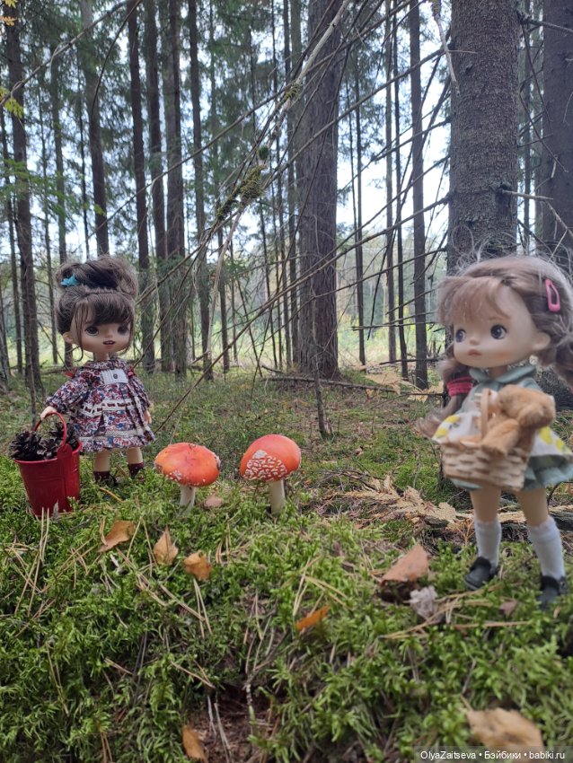 Осенние хлопоты — Разные шарнирные куклы (не БЖД): редкие