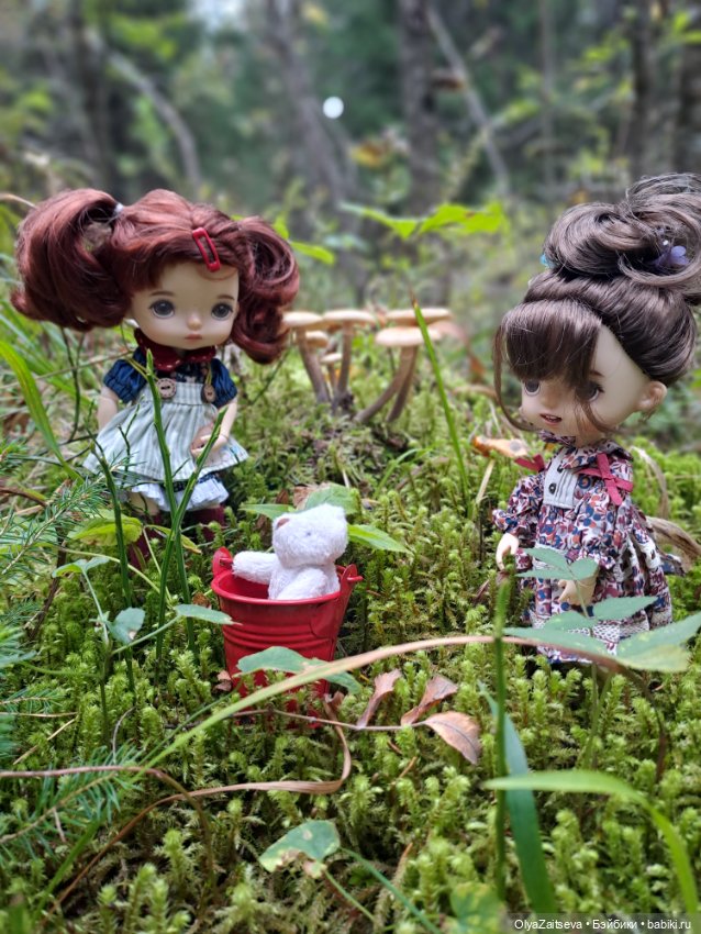 Осенние хлопоты — Разные шарнирные куклы (не БЖД): редкие