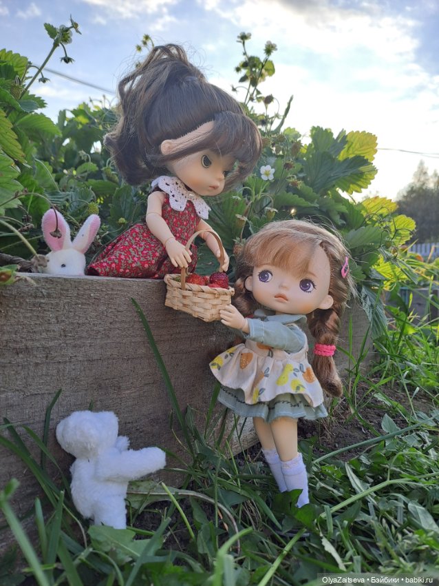 Осенние хлопоты — Разные шарнирные куклы (не БЖД): редкие (фото 6)