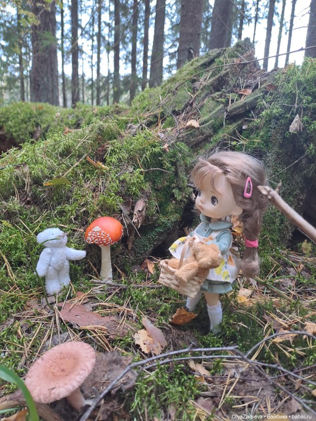 Осенние хлопоты — Разные шарнирные куклы (не БЖД): редкие