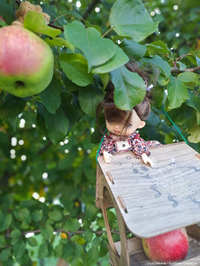 Осенние хлопоты — Разные шарнирные куклы (не БЖД): редкие