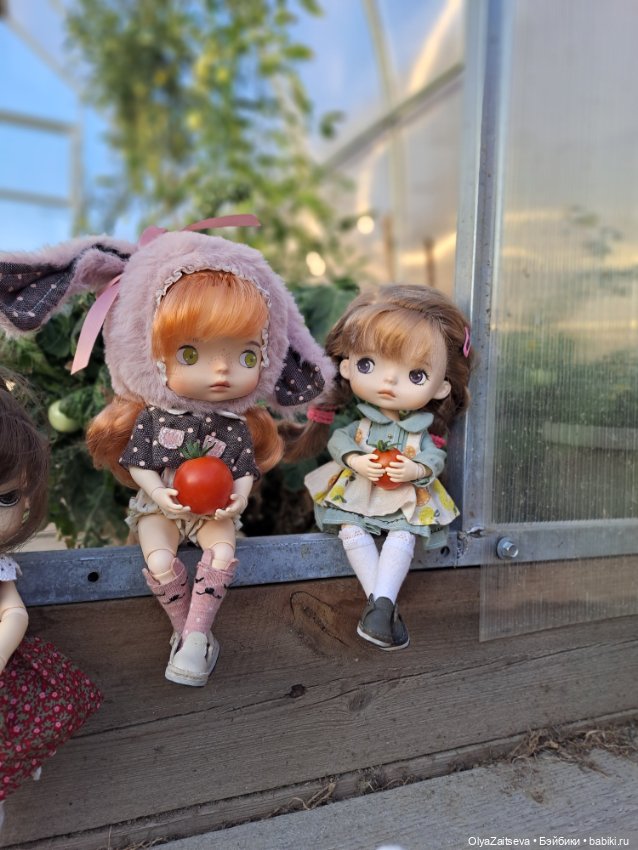 Осенние хлопоты — Разные шарнирные куклы (не БЖД): редкие (фото 10)