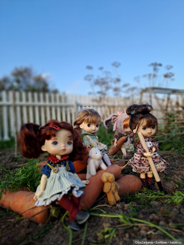 Осенние хлопоты — Разные шарнирные куклы (не БЖД): редкие (фото 9)