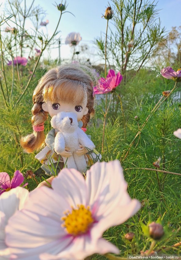 Осенние хлопоты — Разные шарнирные куклы (не БЖД): редкие