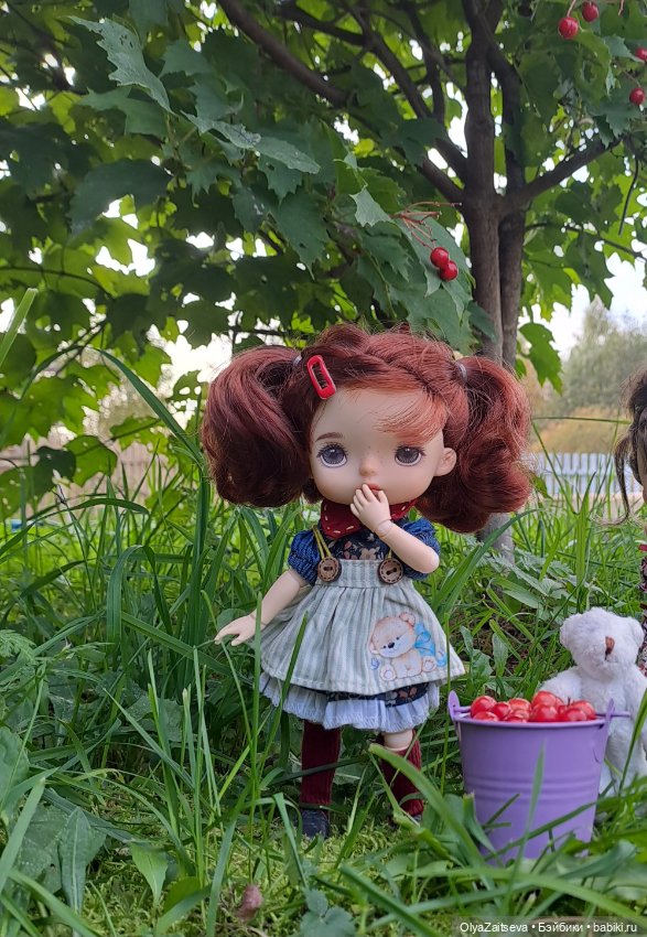 Осенние хлопоты — Разные шарнирные куклы (не БЖД): редкие