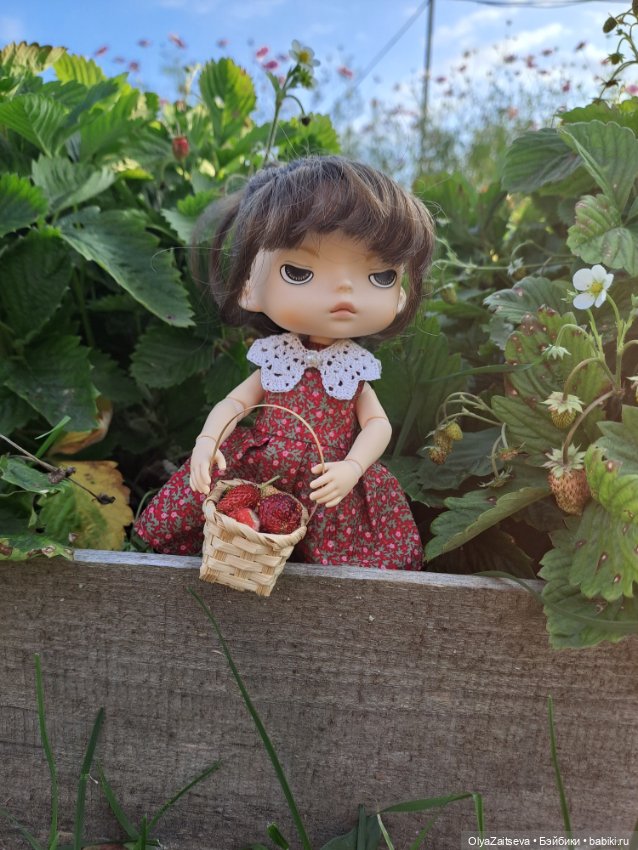 Осенние хлопоты — Разные шарнирные куклы (не БЖД): редкие (фото 4)