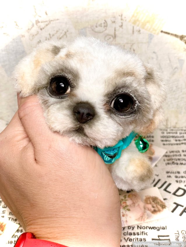 Teddy — Реалистичные игрушки и звери (Натюр): собаки