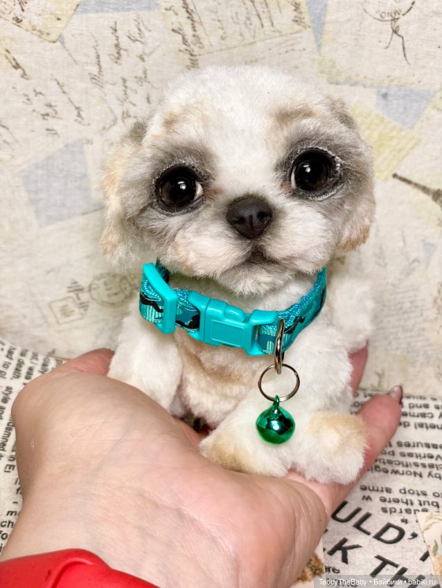 Teddy — Реалистичные игрушки и звери (Натюр): собаки (фото 3)