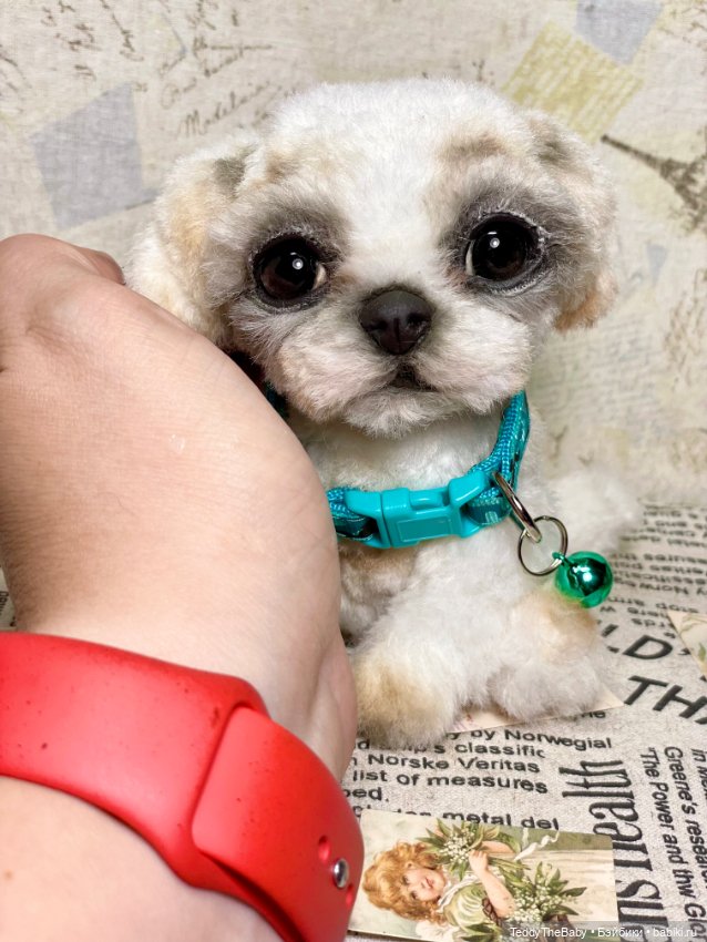 Teddy — Реалистичные игрушки и звери (Натюр): собаки