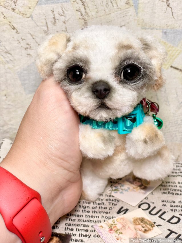 Teddy — Реалистичные игрушки и звери (Натюр): собаки