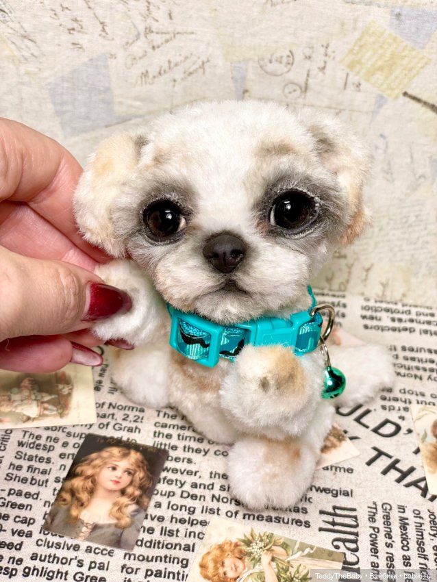 Teddy — Реалистичные игрушки и звери (Натюр): собаки