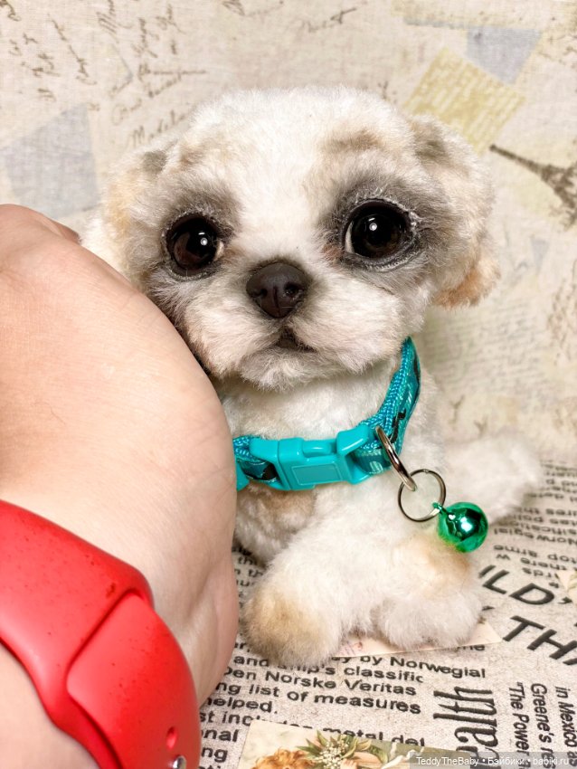 Teddy — Реалистичные игрушки и звери (Натюр): собаки