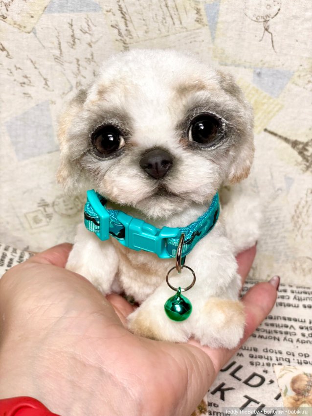 Teddy — Реалистичные игрушки и звери (Натюр): собаки (фото 5)