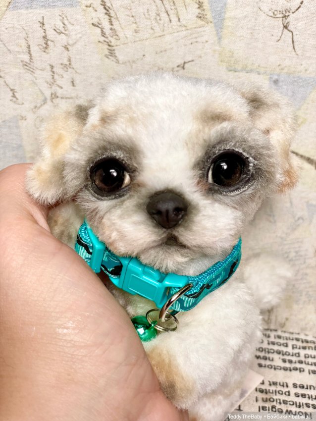 Teddy — Реалистичные игрушки и звери (Натюр): собаки