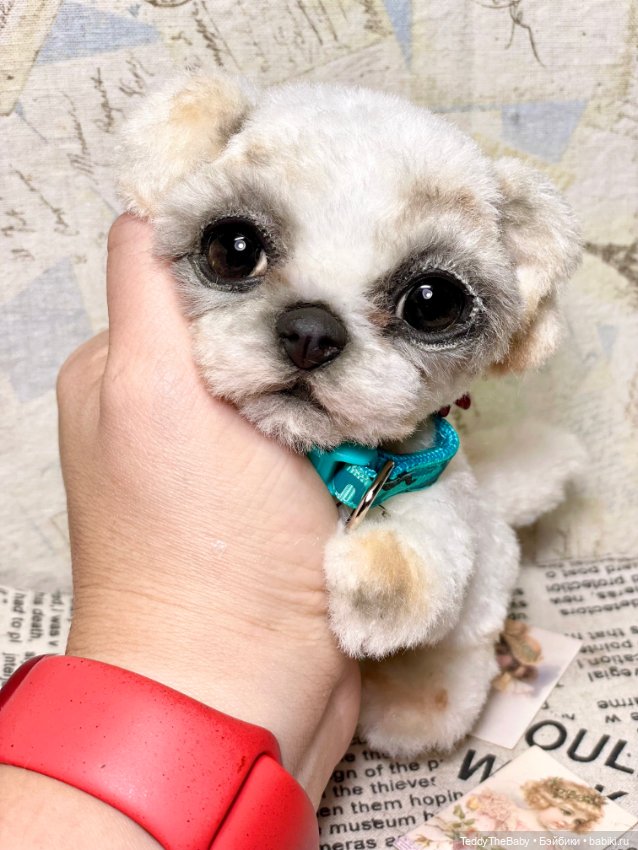 Teddy — Реалистичные игрушки и звери (Натюр): собаки