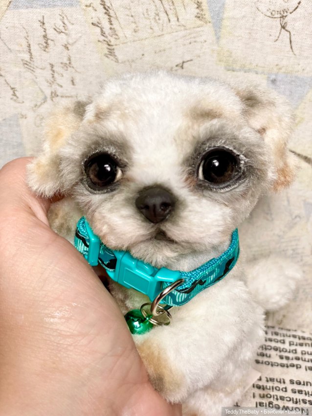 Teddy — Реалистичные игрушки и звери (Натюр): собаки