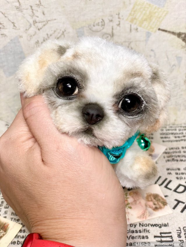 Teddy — Реалистичные игрушки и звери (Натюр): собаки