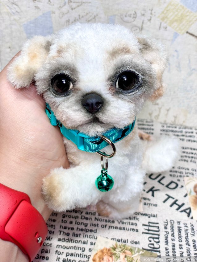 Teddy — Реалистичные игрушки и звери (Натюр): собаки (фото 6)