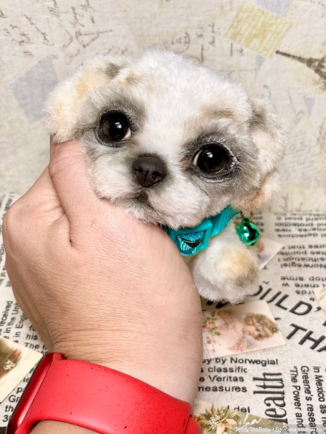 Teddy — Реалистичные игрушки и звери (Натюр): собаки