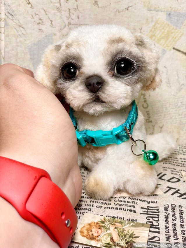 Teddy — Реалистичные игрушки и звери (Натюр): собаки