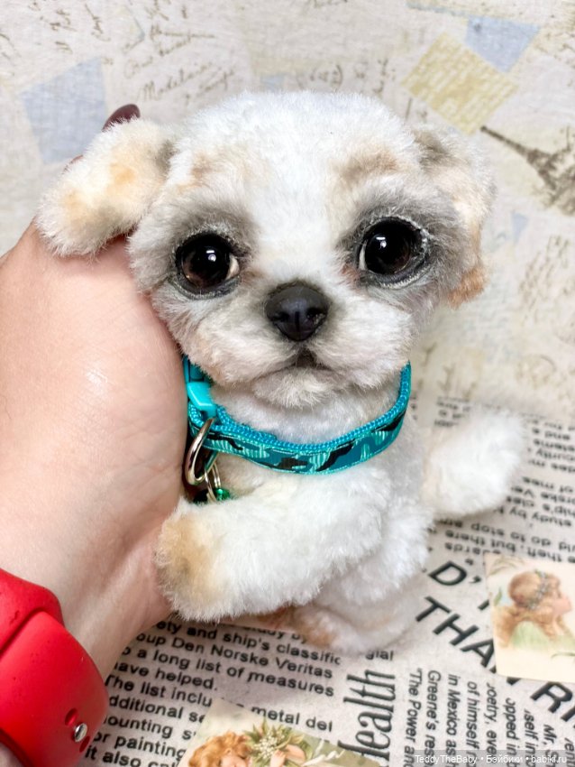 Teddy — Реалистичные игрушки и звери (Натюр): собаки (фото 8)