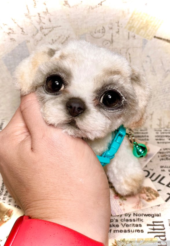 Teddy — Реалистичные игрушки и звери (Натюр): собаки