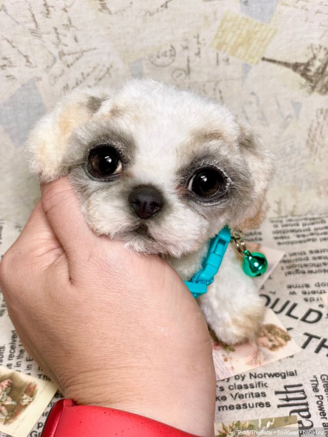 Teddy — Реалистичные игрушки и звери (Натюр): собаки