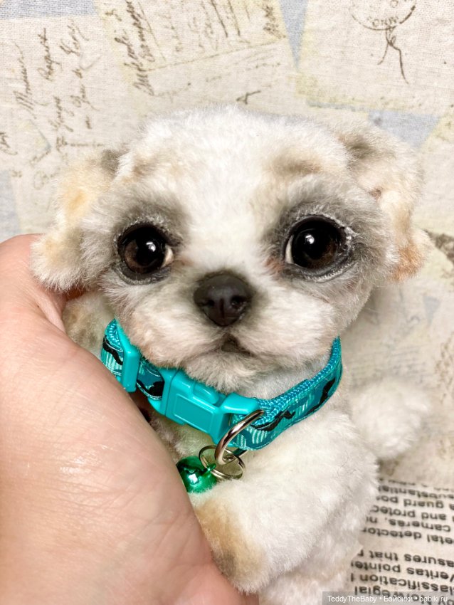 Teddy — Реалистичные игрушки и звери (Натюр): собаки