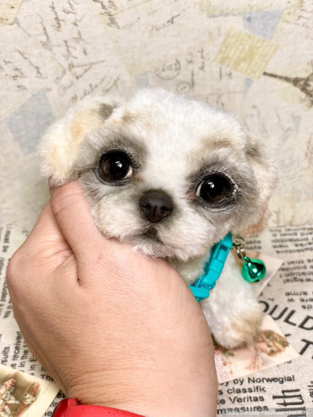 Teddy — Реалистичные игрушки и звери (Натюр): собаки