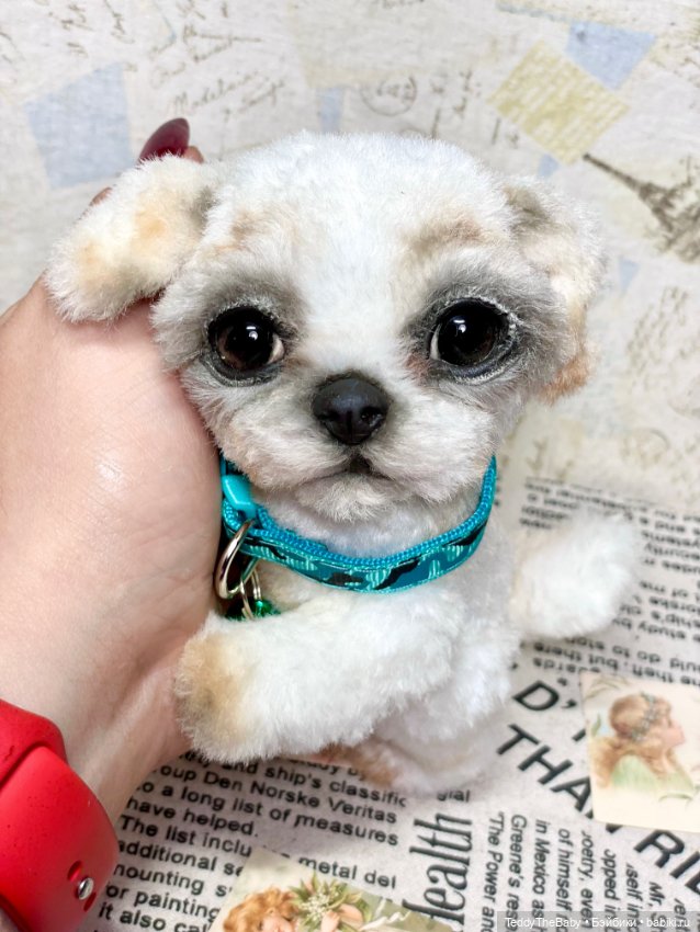 Teddy — Реалистичные игрушки и звери (Натюр): собаки (фото 7)