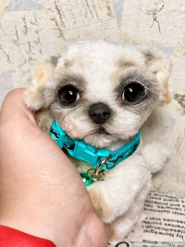 Teddy — Реалистичные игрушки и звери (Натюр): собаки