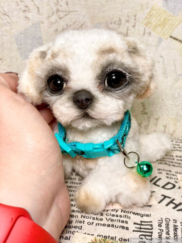 Teddy — Реалистичные игрушки и звери (Натюр): собаки