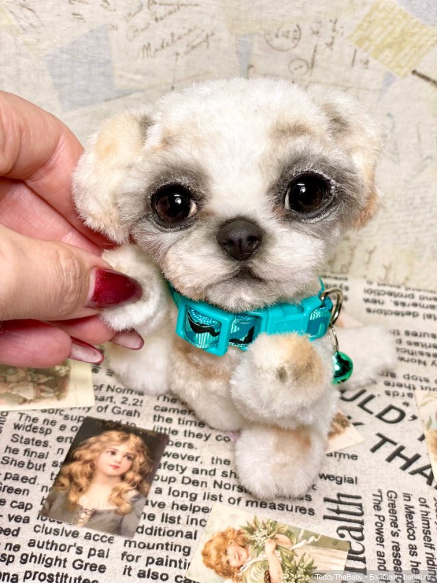 Teddy — Реалистичные игрушки и звери (Натюр): собаки