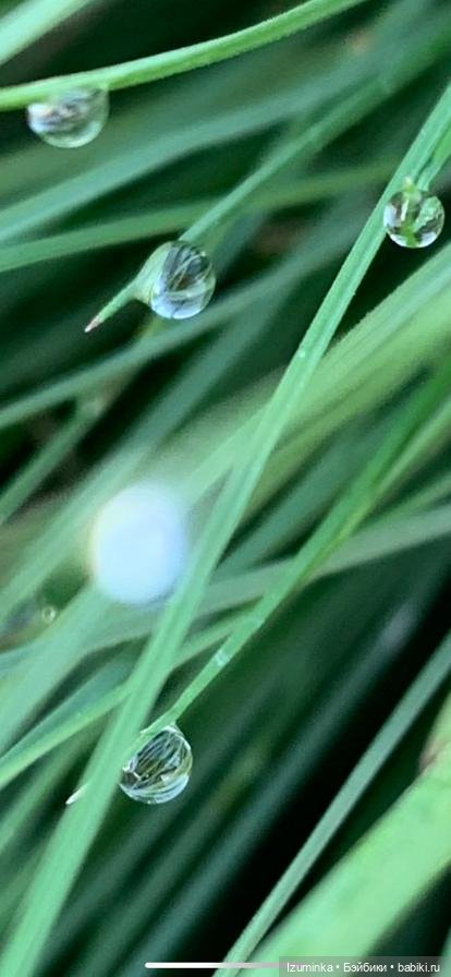 Путешествие сестричек Жу (Даши Нужновой) на озеро Калды