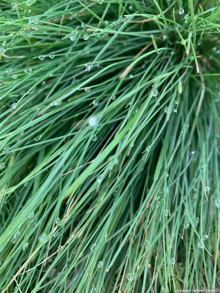 Путешествие сестричек Жу (Даши Нужновой) на озеро Калды (фото 2)