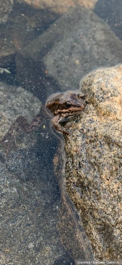 Путешествие сестричек Жу (Даши Нужновой) на озеро Калды