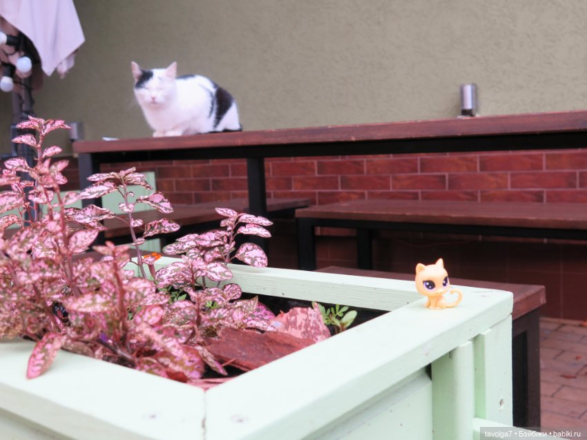 Балтика на Мабон 2023 — Туризм и путешествия: фотоотчеты из поездок