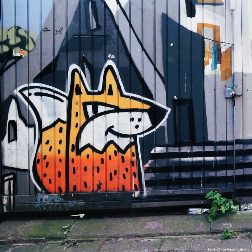 Балтика на Мабон 2023 — Туризм и путешествия: фотоотчеты из поездок