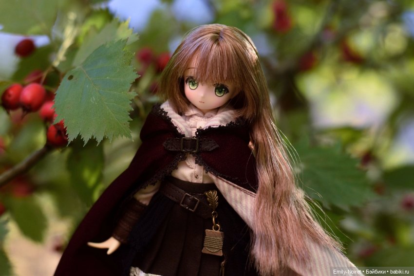 Красная шапочка — Куклы Azone (Азон) и тела Pure Neemo: фото