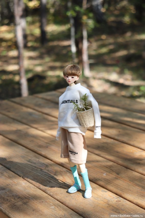 Только ленивый не сфоткал грибы (фото 4)