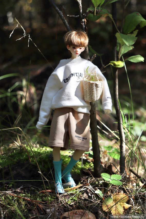 Только ленивый не сфоткал грибы