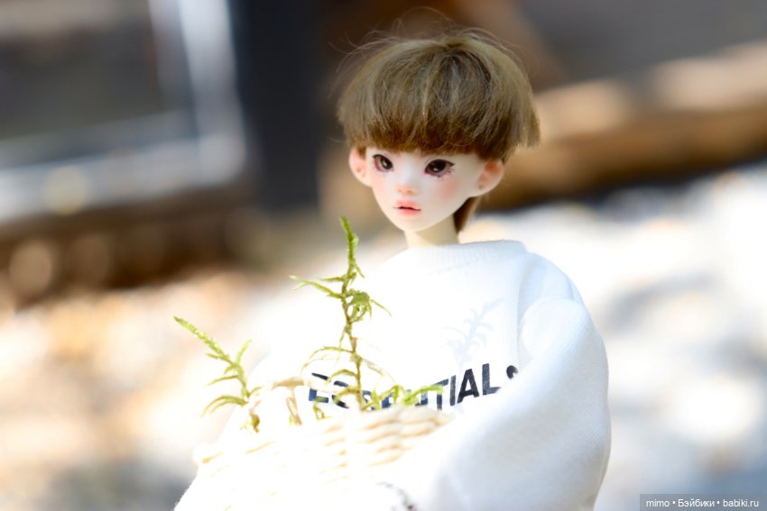 Только ленивый не сфоткал грибы (фото 3)