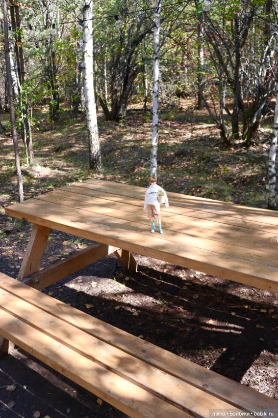 Только ленивый не сфоткал грибы (фото 2)