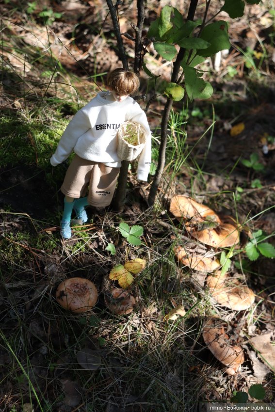 Только ленивый не сфоткал грибы (фото 6)